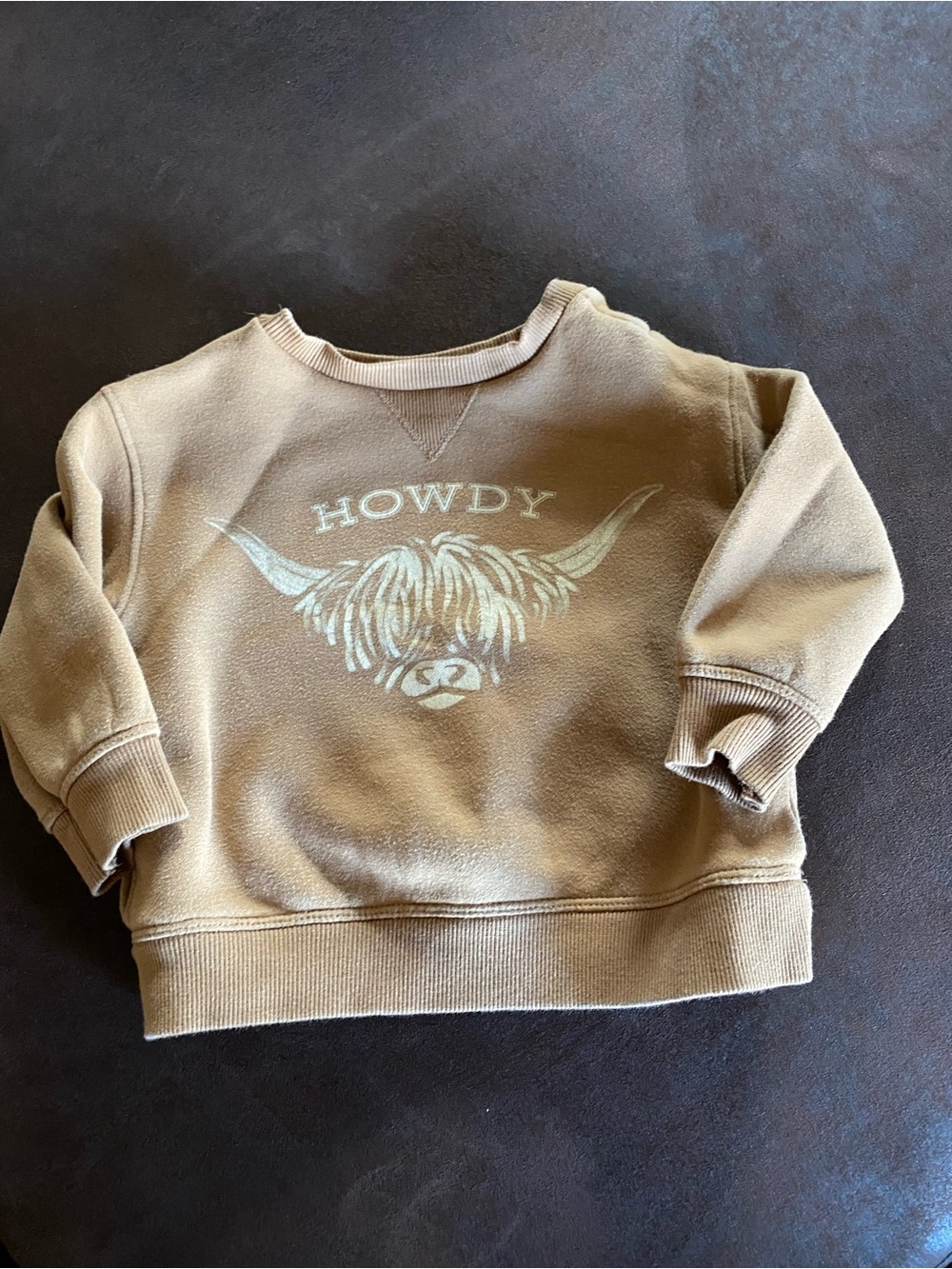 Kids Howdy Graphic Crewneck Sweatshirt - Brown